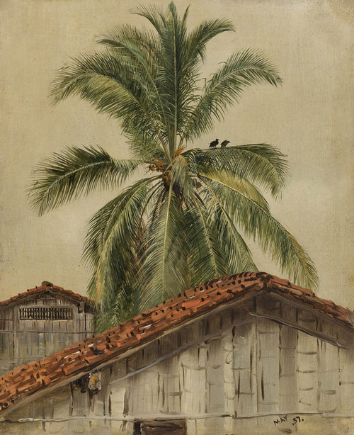 Art Prints of Palm tree and Housetops, Equador by Frederic Edwin Church
