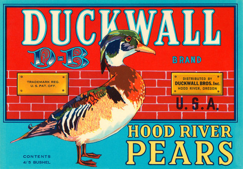 Art Prints of 010 Duckwall Brand Pears, Fruit Crate Labels