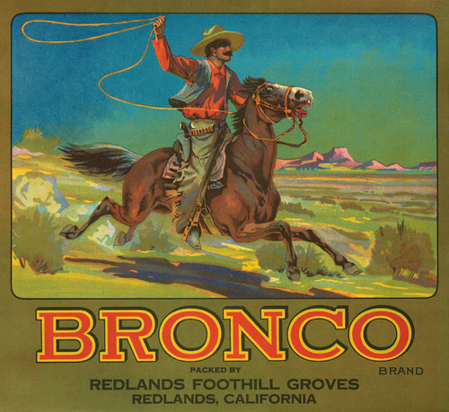 Art Prints of 054 Bronco Brand, Fruit Crate Labels