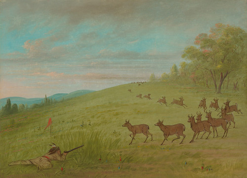 Art Prints of Antelope Shooting, Assinneboine by George Catlin
