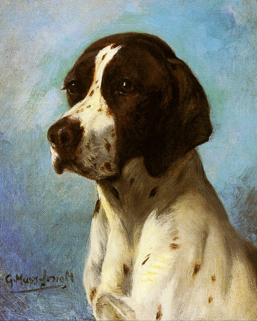 Art Prints of Pointer by Gustav Muss-Arnolt