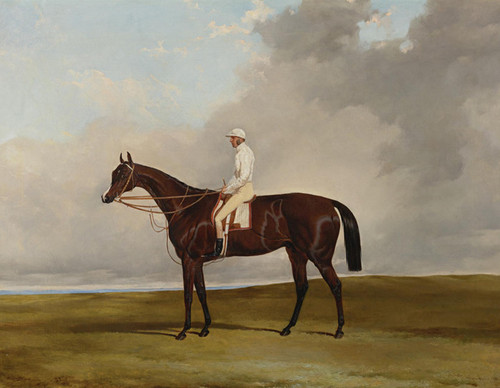 Art Prints of Attila, Winner of the Derby Stakes at Epsom 1842 by Harry Hall