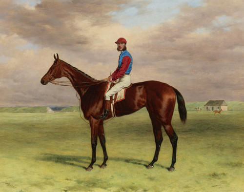 Art Prints of Bay Filly Agility at Newmarket by Harry Hall
