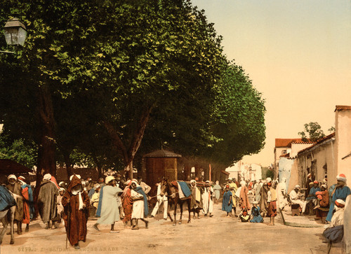 Art Prints of Arab Market, Blidah, Algeria (387115)