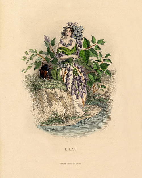 Art Prints of Lilacs by J. J. Grandville