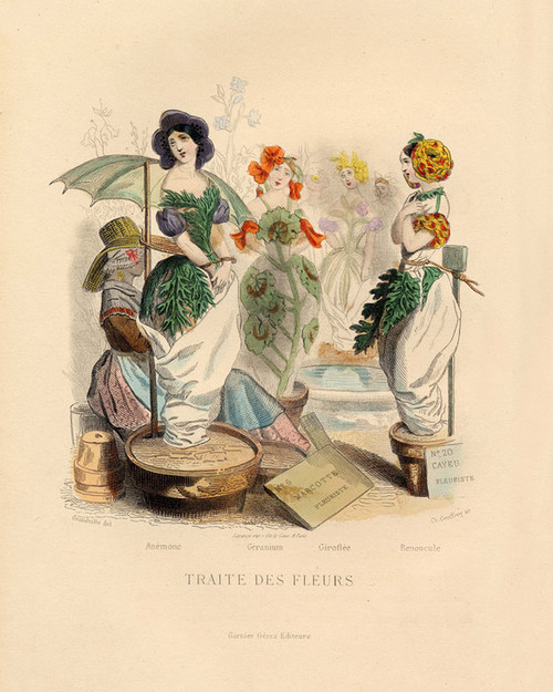 Art Prints of Flower Market, Anemone, Geranium, Gillyflower, etc. by J. J. Grandville
