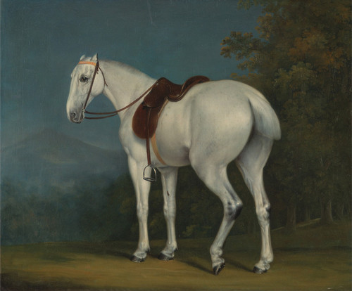 Art Prints of A Lady's Grey Hunter by Jacques-Laurent Agasse