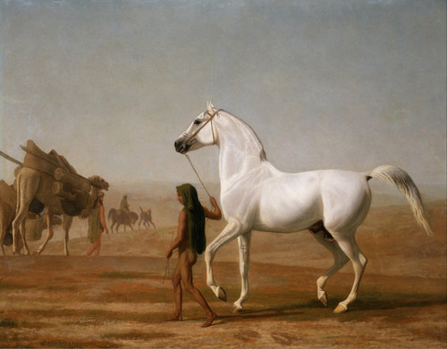 Art Prints of Wellesley Grey Arabian in the Desert by Jacques-Laurent Agasse