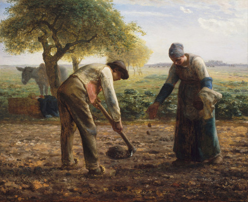 Art Prints of Potato Planters by Jean-Francois Millet