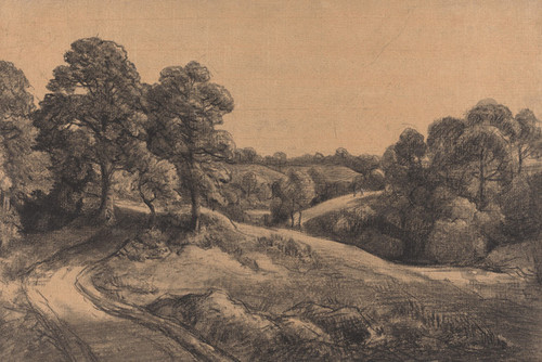 Art Prints of Wooded Slope with a Receding Road by John Constable