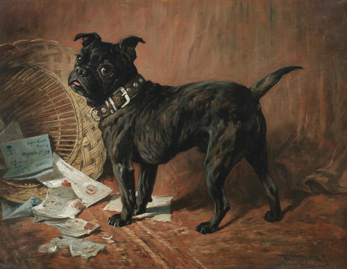 Art Prints of A Naughty Black Pug by John Emms