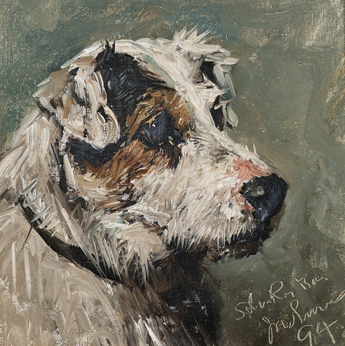 Art Prints of Study of a Terrier by John Emms
