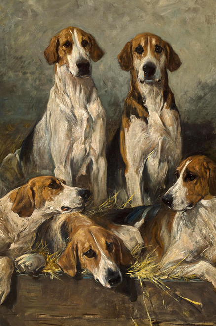 Art Prints of The Bitchpack of the Meath, Foxhounds, Detail by John Emms