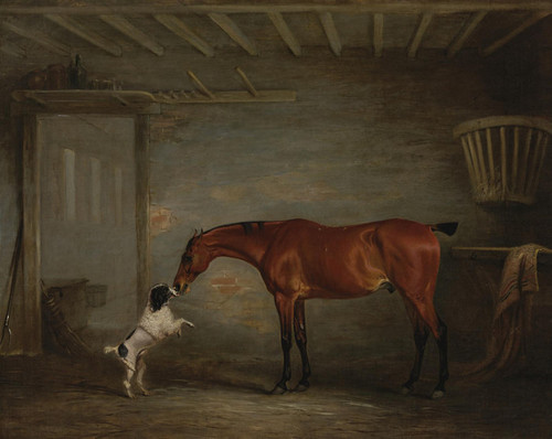 Art Prints of Hunter with Poodle by John Ferneley