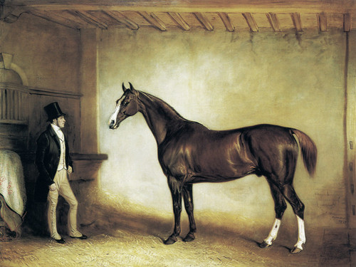 Art Prints of Cigar, Mr. Sterling Crawford's Hunter in a Stable by John Ferneley