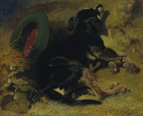Art Prints of A Dog Sleeping Near a Hat on a Grassy Bank by John Frederick Herring