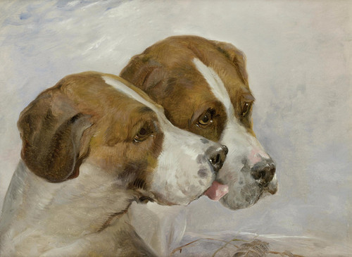 Art Prints of Coupled Foxhounds by John Frederick Herring