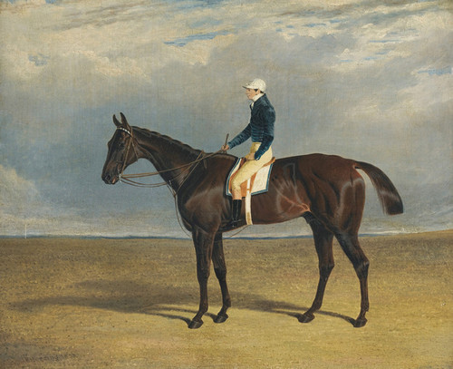 Art Prints of Margrave, a Liver Chestnut Racehorse by John Frederick Herring