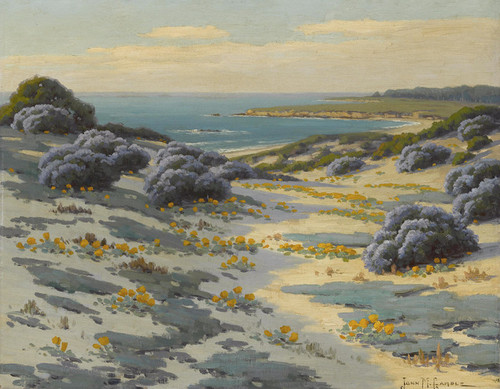 Art Prints of Bush Lupine, Poppies and Sand Dunes, Monterey by John Marshall Gamble