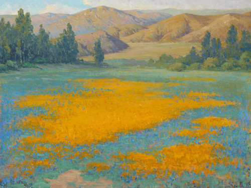Art Prints of Shimmering Gold Poppy Field near Banning by John Marshall Gamble
