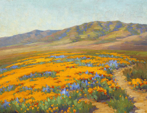 Art Prints of Spring Flowers, Antelope Valley by John Marshall Gamble