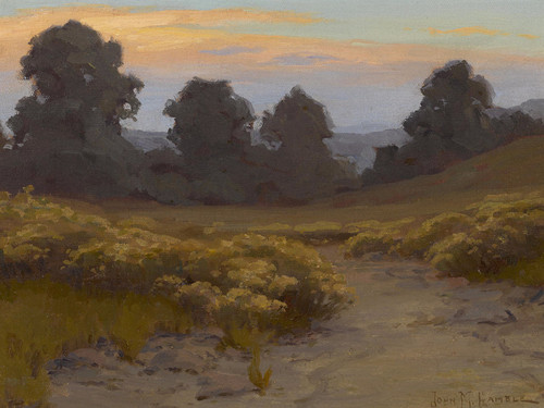 Art Prints of Wild Buckwheat at Twilight by John Marshall Gamble
