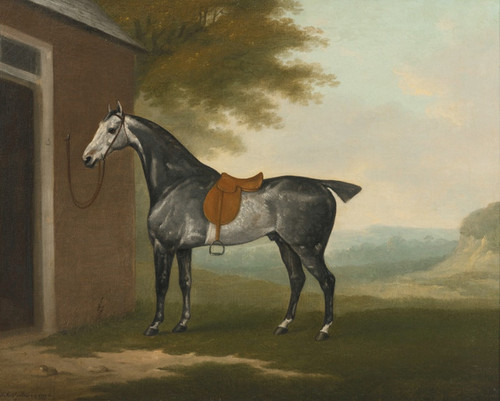 Art Prints of A Dappled Grey Hunter Tethered to a Stable by John Nost Sartorius