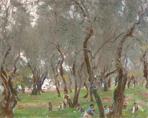 Art Prints of Olive Trees II by John Singer Sargent