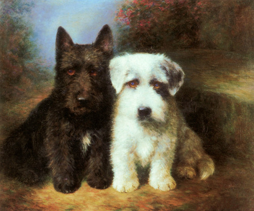 Art Prints of A Scottish Terrier and a Sealyham Terrier by Lilian Cheviot