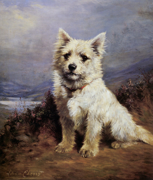 Art Prints of Seated West Highland White Terrier by Lilian Cheviot