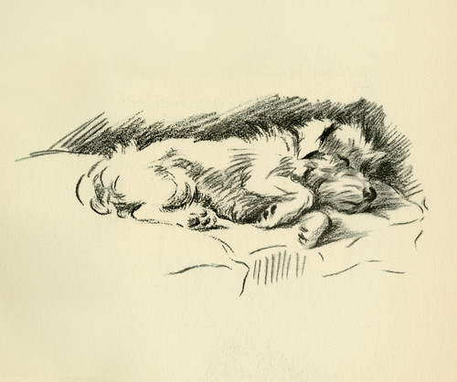 Art Prints of Patch after Three Days of Rabbit Hunting by Lucy Dawson