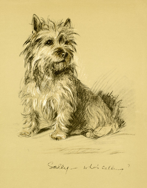 Art Prints of Sally, Who's Calling, Cairn Terrier by Lucy Dawson