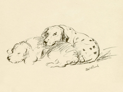 Art Prints of Scar and Julie, Dalmatians by Lucy Dawson