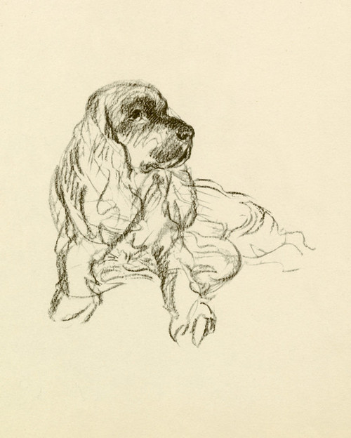 Art Prints of Susan 2 by Lucy Dawson