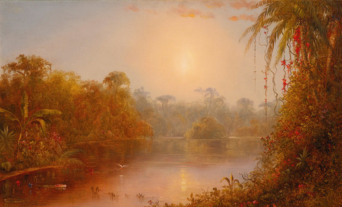Art Prints of A River in the Tropics by Norton Bush