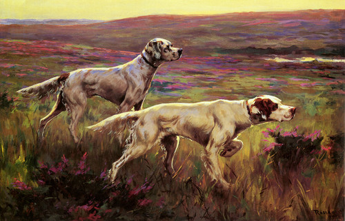Art Prints of Setters in the Highlands by Percival Leonard Rosseau