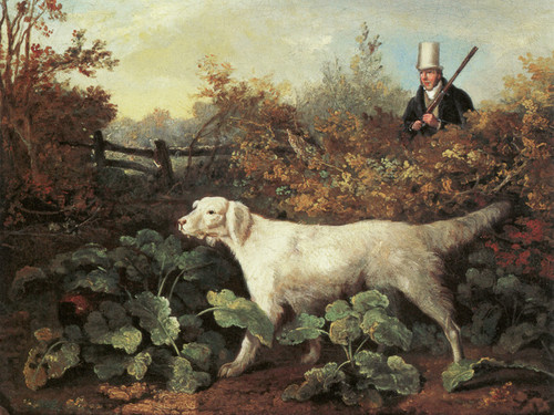Art Prints of Sportsman with English Setter and a Pheasant by Philip Reinagle