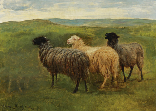 Art Prints of Three Sheep in a Landscape by Rosa Bonheur