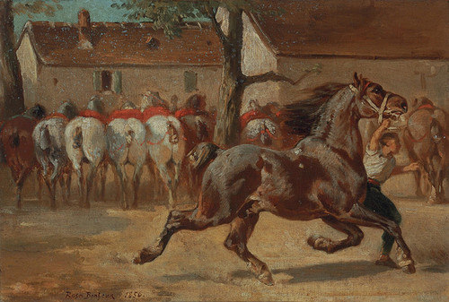 Art Prints of Trotting a Horse by Rosa Bonheur