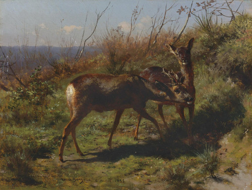 Art Prints of Two Young Deer by Rosa Bonheur
