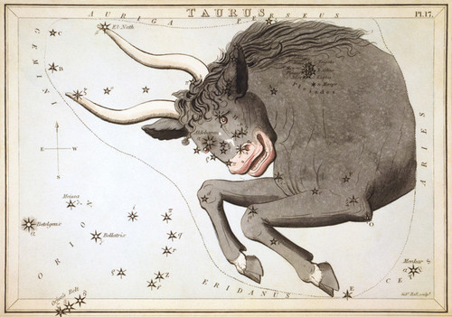 Art Prints of Taurus, Plate 17, View of the Heavens by Sidney Hall