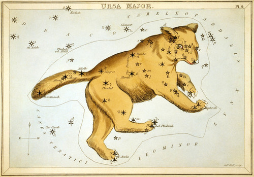 Art Prints of Ursa Major, Plate 9, View of the Heavens by Sidney Hall