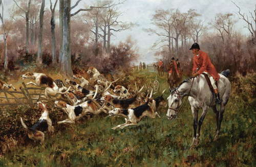 Art Prints of Putting Hounds into Cover by Thomas Blinks