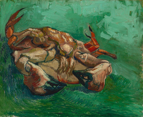 Art Prints of Crustacean or Crab Lying on His Back by Vincent Van Gogh