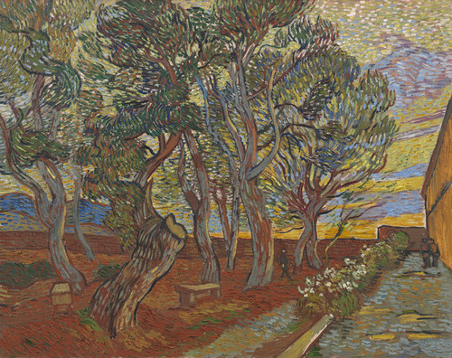 Art Prints of Garden of the Asylum by Vincent Van Gogh