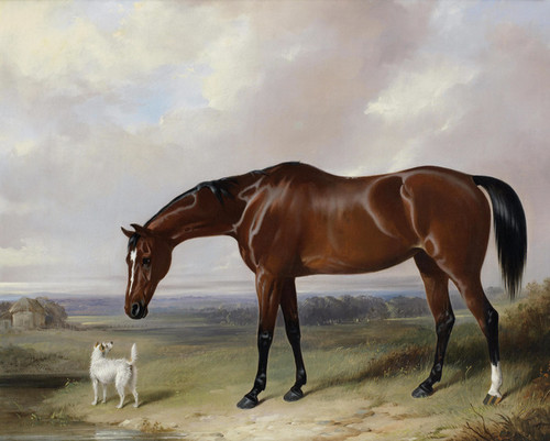 Art Prints of A Bay Hunter and a Terrier in a Landscape by William Barraud