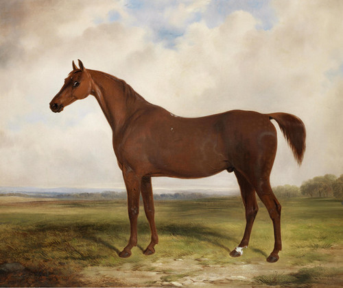 Art Prints of A Chestnut Hunter in a Landscape by William Barraud