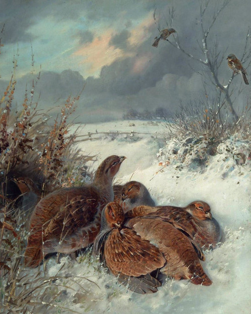 Art Prints of Partridge in a Snowy Landscape by William Woodhouse