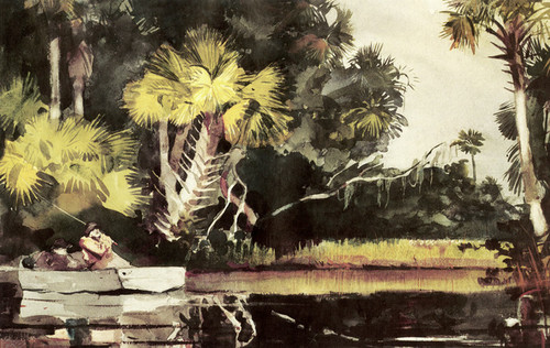 Art Prints of Homosassa Jungle by Winslow Homer