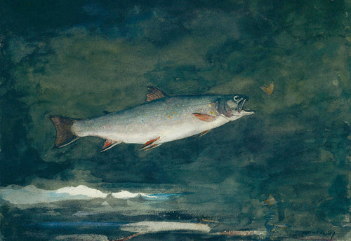 Art Prints of Leaping Trout by Winslow Homer